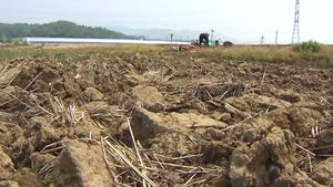 靑 "가뭄 대책비 조기 집행&hellip;4대강 보 개방 면밀히 검토"