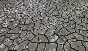 [취재파일] 저수지 설계 기준, 이대로 괜찮은가?