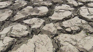 [취재파일] 최악의 가뭄 가능성 커져&hellip;심상치 않은 6월 강수량