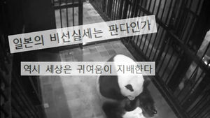 [오!클릭] 새끼 판다 탄생에 日 열도 '들썩'…수천억 경제 효과