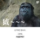섬네일이미지  4:신기하긴 합니다.

그런데,
사실일까요?
