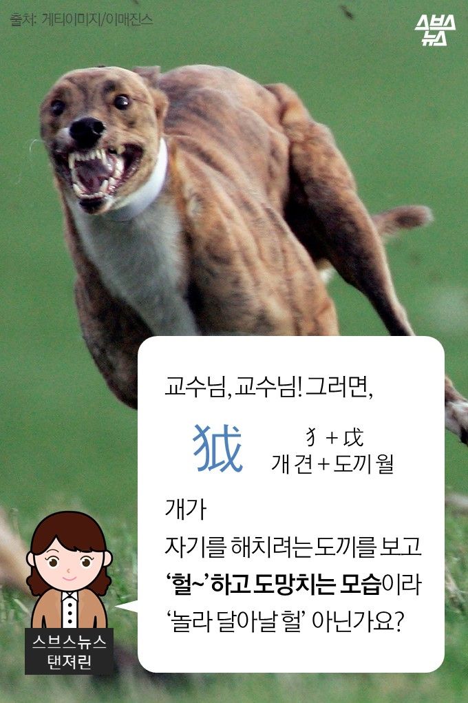 메인이미지  11 : 교수님, 교수님! 그러면,
  ？ 
개가 
자기를 해치려는 도끼를 보고 
‘헐&sim;’하고 도망치는 모습이라
‘놀라 달아날 헐’ 아닌가요?
