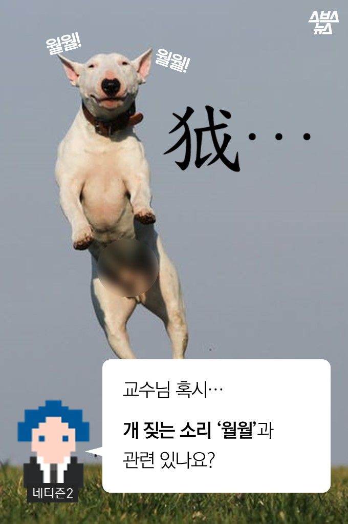 메인이미지  13 : 교수님 혹시&hellip;

개 짖는 소리 ‘월월’과
관련 있나요?
