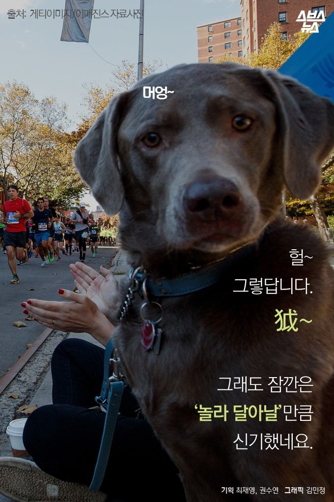 메인이미지  20 : 헐&sim;
그렇답니다.
？&sim;

그래도 잠깐은
‘놀라 달아날’만큼
신기했네요.
