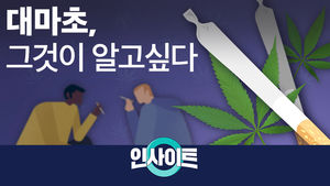 [비디오머그 인사이트] 대마초, 그것이 알고싶다