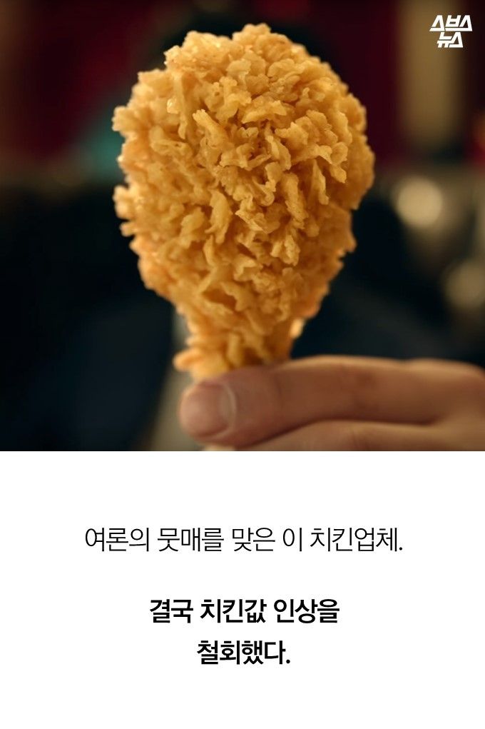 여론의 뭇매를 맞은 이 치킨업체 결국 치킨값 인상을
철회했다.
