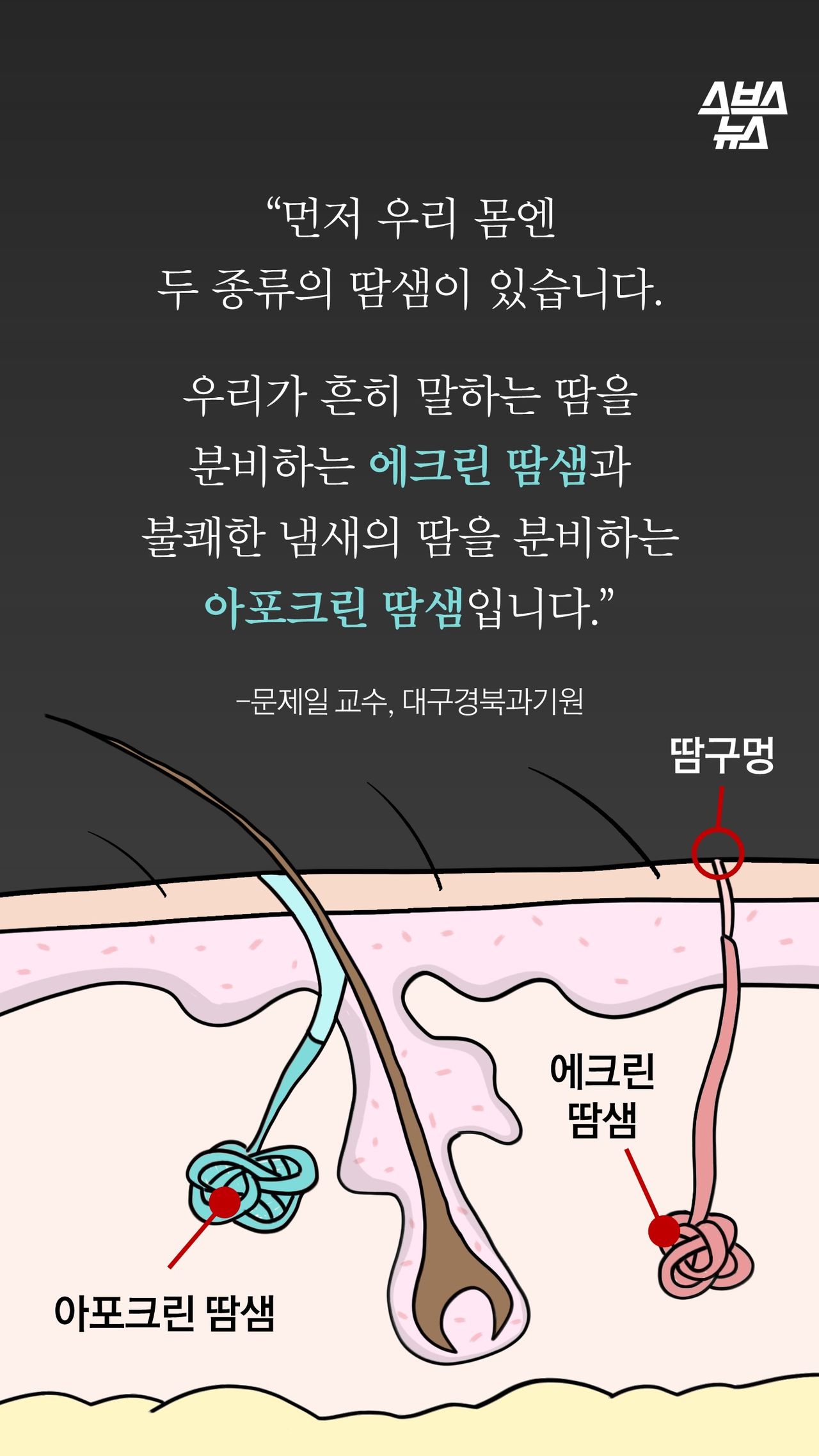 “먼저 우리 몸엔 
두 종류의 땀샘이 있습니다.

우리가 흔히 말하는 땀을 
분비하는 에크린 땀샘과
불쾌한 냄새의 땀을 분비하는
아포크림 땀샘입니다.”

-문제일 교수, 대구경북과기원