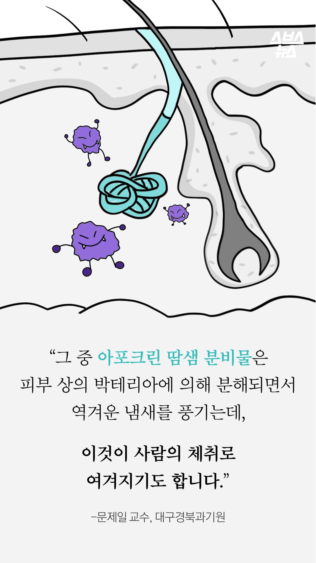 “그 중 아포크린 땀샘 분비물은 
피부 상의 박테리아에 의해 분해되면서 
역겨운 냄새를 풍기는데,

이것은 사람의 체취로
여겨지기도 합니다.”

-문제일 교수, 대구경북과기원