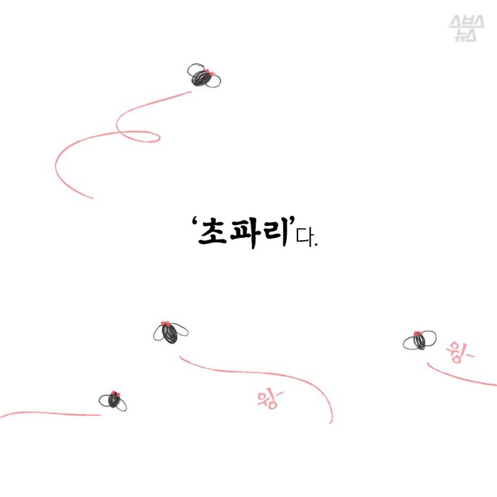 메인이미지  4 : ‘초파리’다.