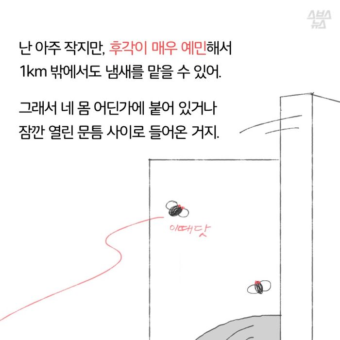 메인이미지  11 : 난 아주 작지만, 후각이 매우 예민해서
1km 밖에서도 냄새를 맡을 수 있어.

그래서 네 몸 어딘가에 붙어 있거나 
잠깐 열린 문틈 사이로 들어온 거지.