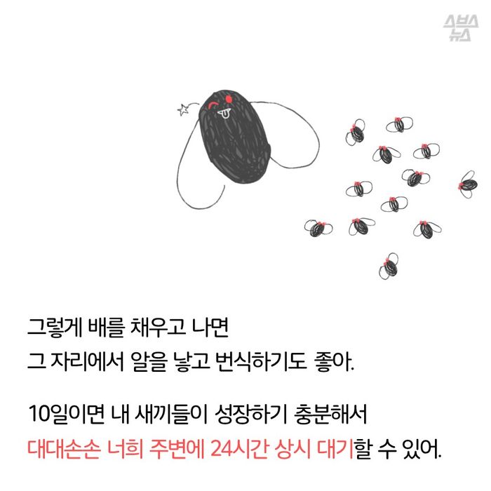 메인이미지  15 : 그렇게 배를 채우고 나면
그 자리에서 알을 낳고 번식하기도 좋아.

10일이면 내 새끼들이 성장하기 충분해서
대대손손 너희 주변에 24시간 상시 대기할 수 있어.