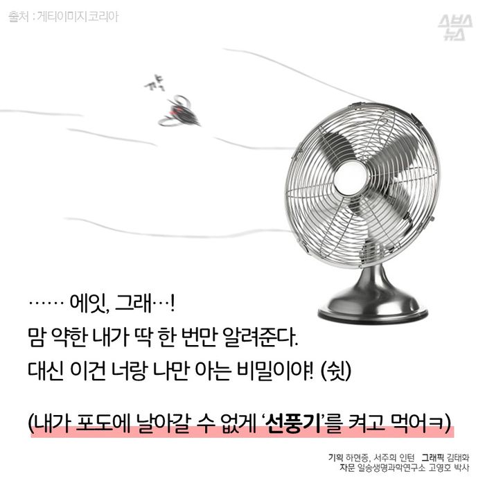 메인이미지  18 : ......에잇, 그래...!
맘 약한 내가 딱 한 번만 알려준다.
대신 이건 너랑 나만 아는 비밀이야! (쉿) 

(내가 포도에 날아갈 수 없게 ‘선풍기’를 켜고 먹어ㅋ)