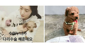 [SBS Star] Hong Soo-ah Rescues an Abandoned Dog 'Pooh'