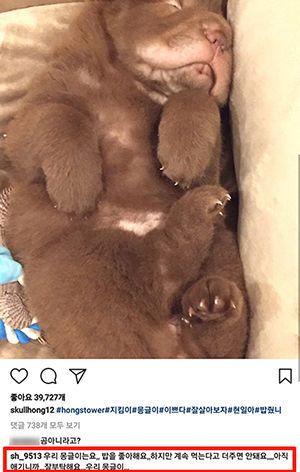 [SBS Star] FTISLAND Lee Hong-gi Adopts AOA Seolhyun's Puppy