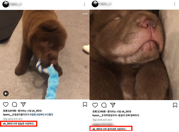 [SBS Star] FTISLAND Lee Hong-gi Adopts AOA Seolhyun's Puppy