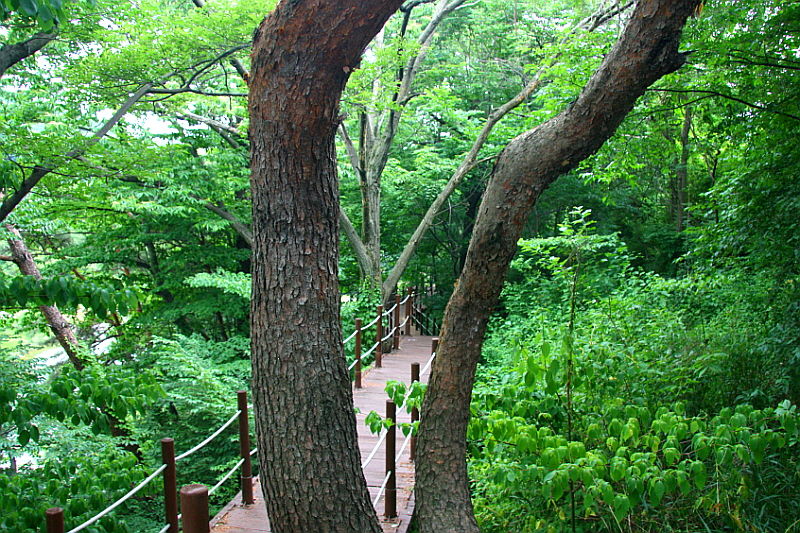 선비문화탐방로 9