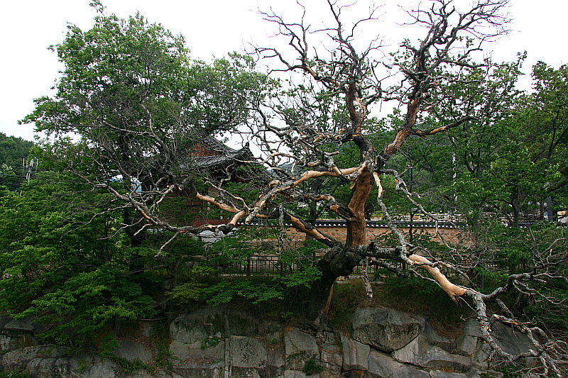 선비문화탐방로 18