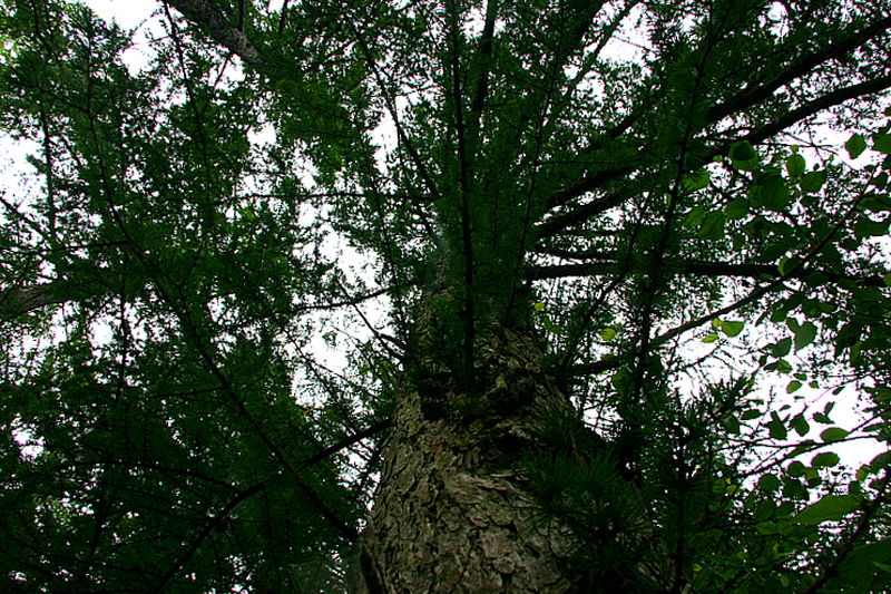 선비문화탐방로 26