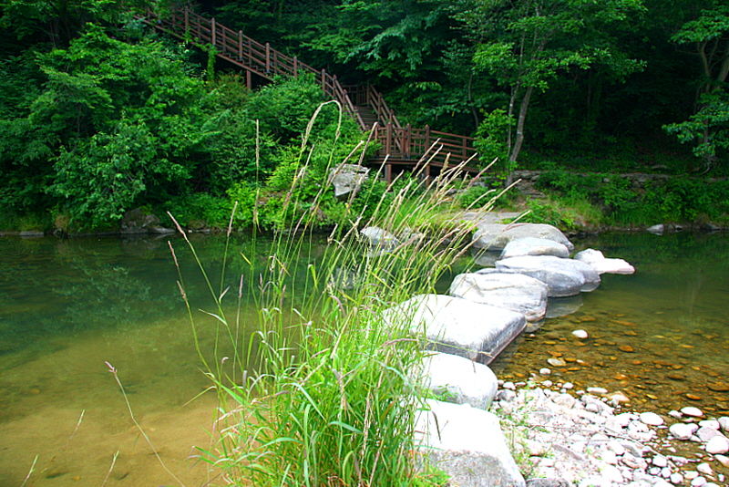 선비문화탐방로 28