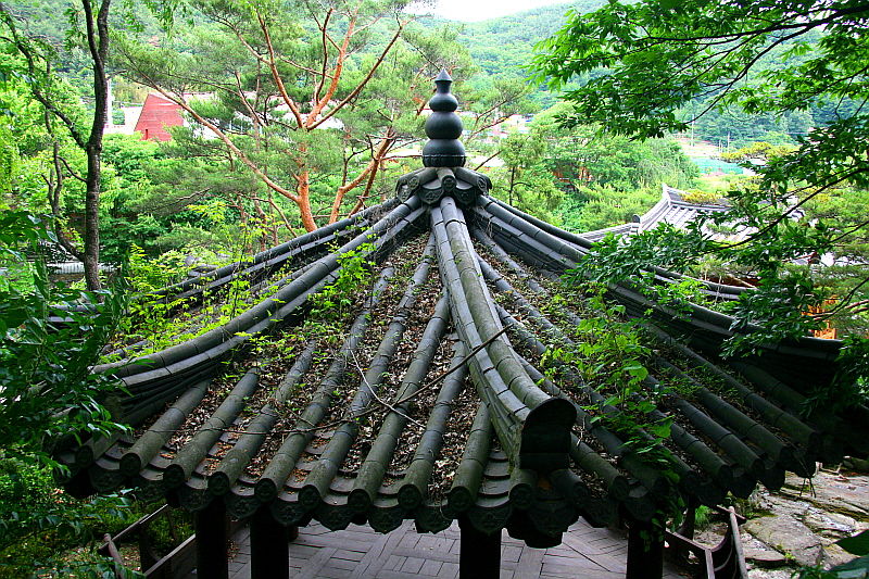 선비문화탐방로 31