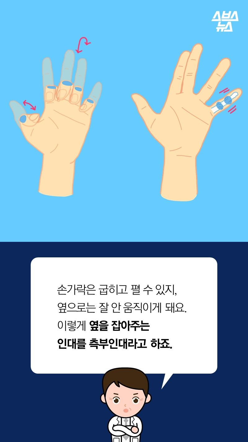 A. 손가락은 굽히고 펼 수 있지,
옆으로는 잘 안 움직이게 돼요.
이렇게 옆을 잡아주는
인대를 측부인대라고 하죠.

