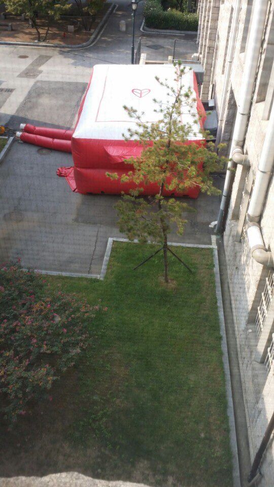 [뉴스pick] 고려대 건물 지붕 올라가 '남학생 찾는' 중국인 여성(사진 = 시청자 제보)