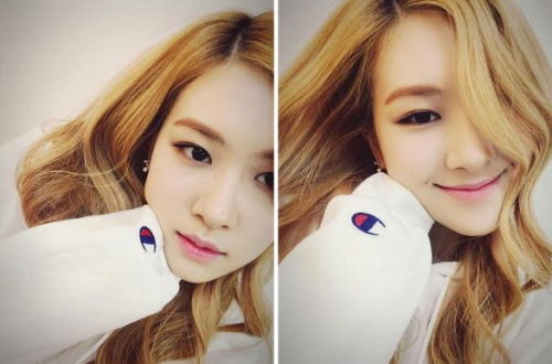 K-pop Idol Stars with Unexpected College Major!