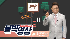 (토요일용) [비디오머그 블박영상] 뭐가 부딪혔나?... 제165화 로드킬 확인하려 잠깐 세웠는데 ‘꽝’