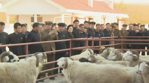 [지금 북한은] "고기 배불리 먹이겠다"…대규모 축산단지 완성
