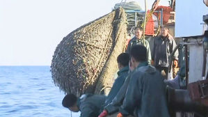 [지금 북한은] "바다 한시도 비우지 말라"…물고기잡이 독려 나선 북한