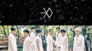 [SBS Star] EXO to Release a Winter Special Album Next Month