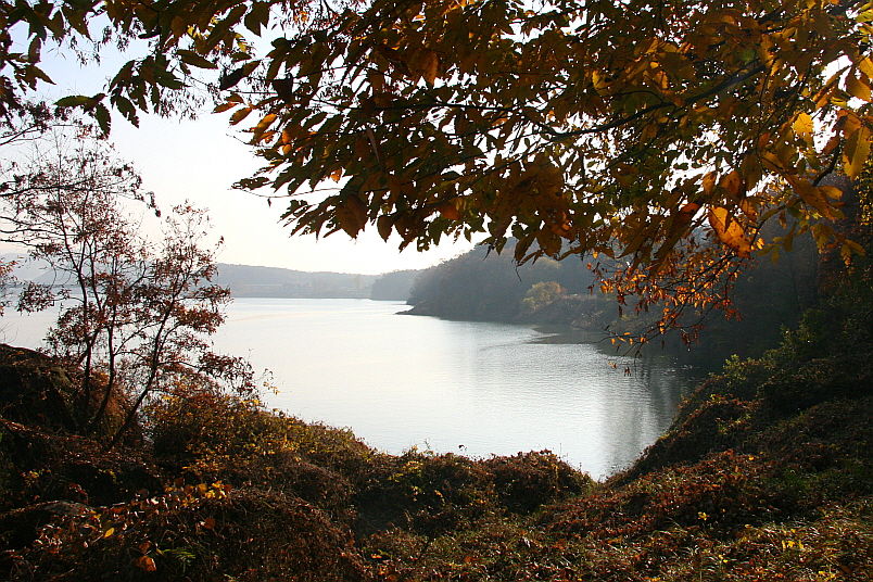 [라이프] 낙엽 속에서 길을 헤매다…여주 여강길 1코스 ①