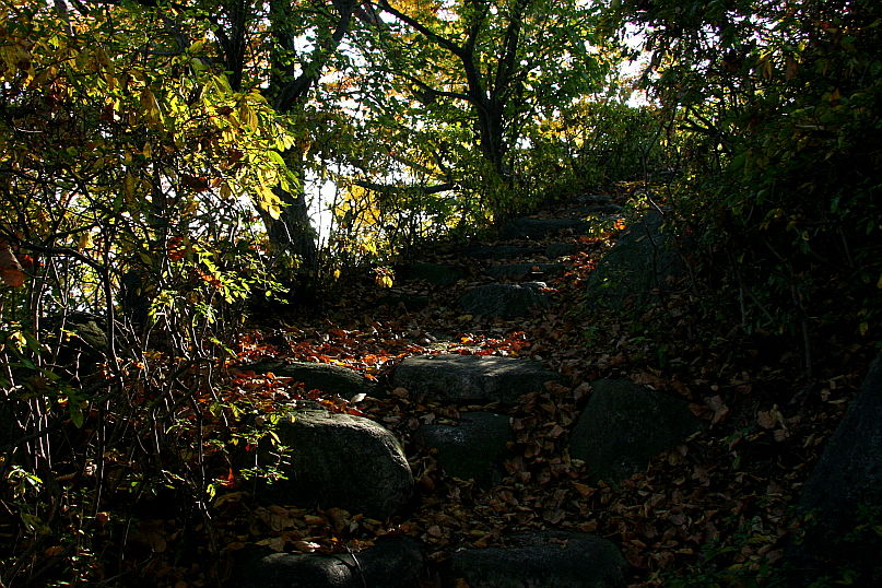 [라이프] 낙엽 속에서 길을 헤매다…여주 여강길 1코스 ①