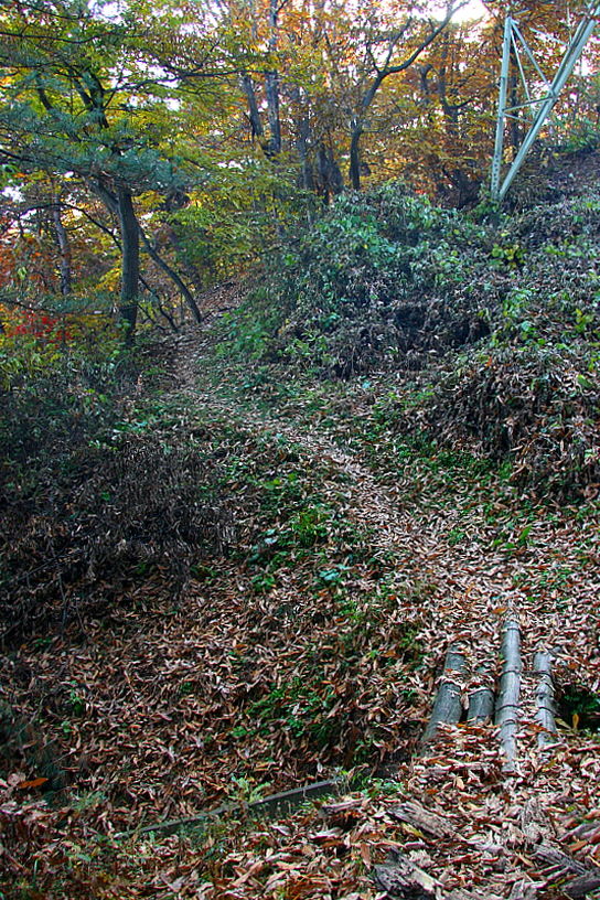 [라이프] 낙엽 속에서 길을 헤매다…여주 여강길 1코스 ①