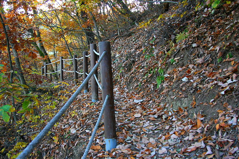 [라이프] 낙엽 속에서 길을 헤매다…여주 여강길 1코스 ①