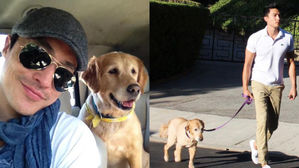 [SBS Star] Dog-Lover Daniel Henney Rescues & Adopts 'Roscoe'