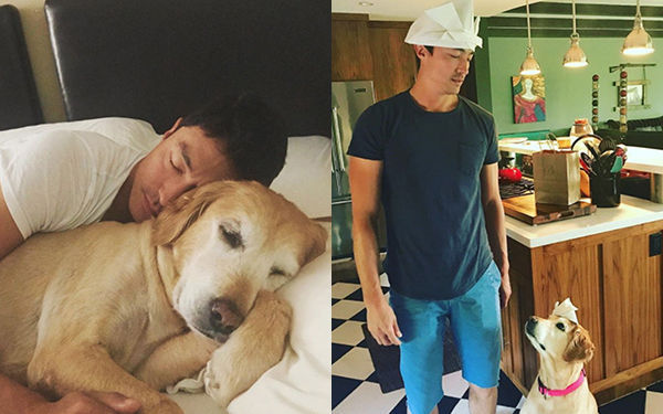 [SBS Star] Daniel Henney Adopts Roscoe from Dog Meat Farm