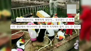 [오!클릭] 기대하고 동물원 갔는데&hellip;알고 보니 '가짜 펭귄'