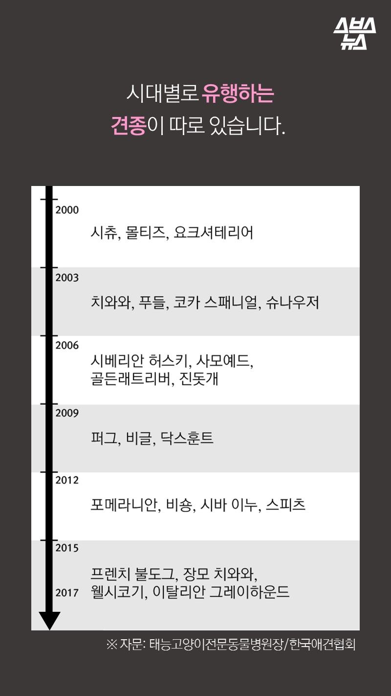 시대별로 유행하는 
 견종이 따로 있습니다. 
