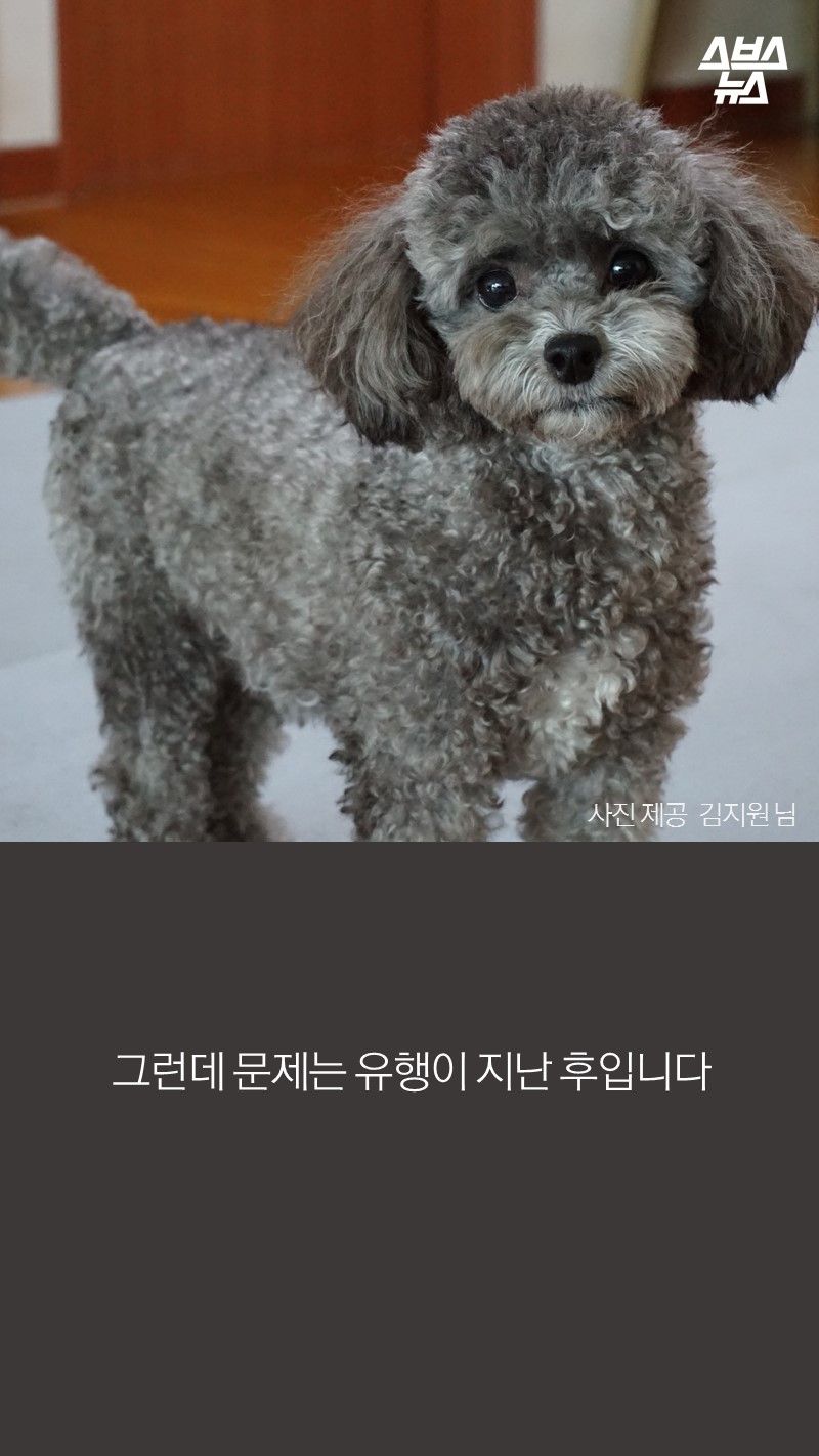 그런데 문제는 유행이 지난 후입니다