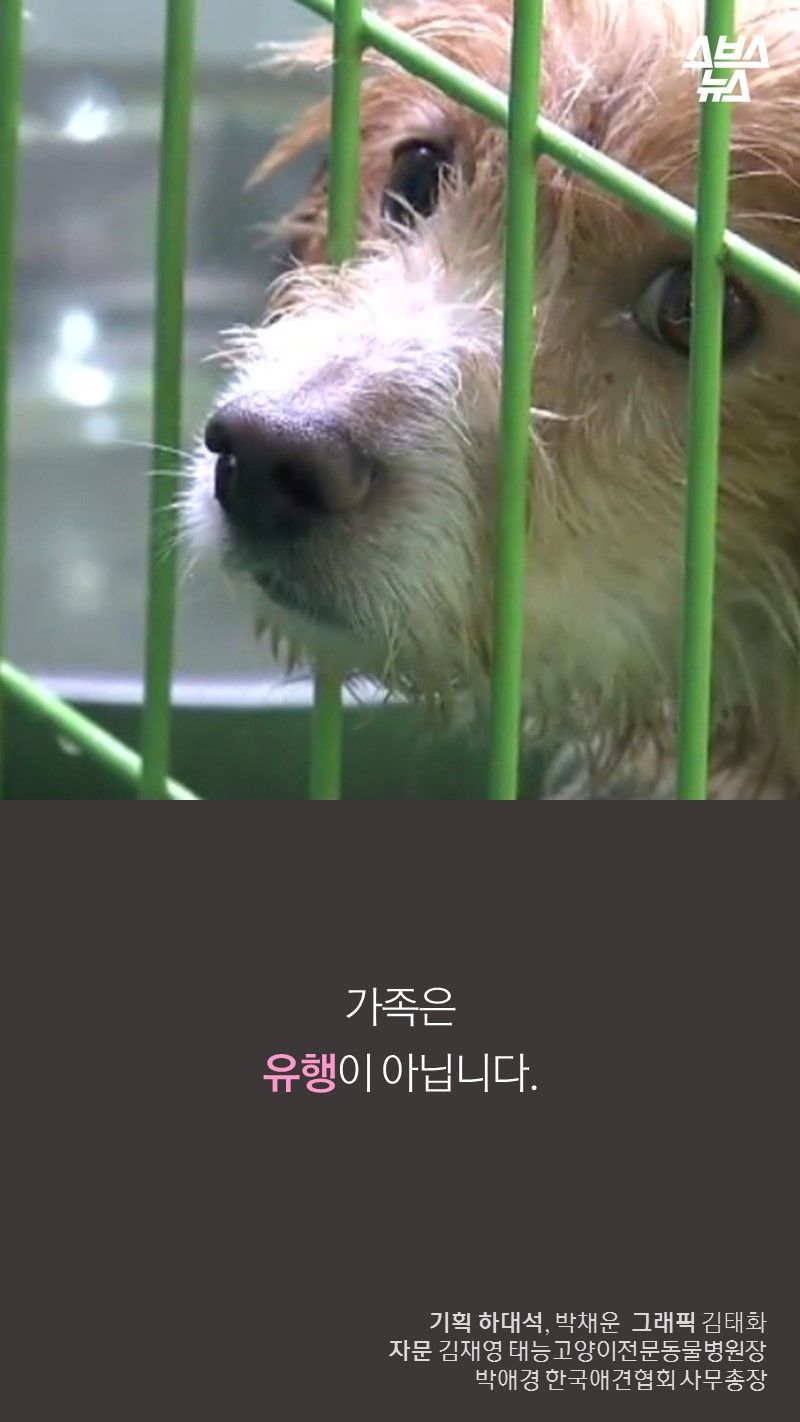 가족은
유행이 아닙니다.
