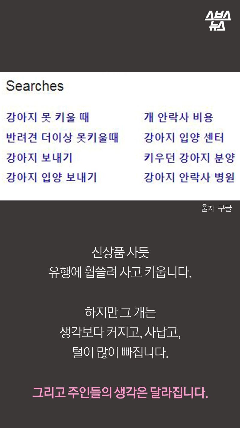 신상품 사듯
유행에 휩쓸려 사고 키웁니다.

하지만 그 개는
생각보다 커지고, 사납고, 
털이 많이 빠집니다.

그리고 주인들의 생각은 달라집니다.