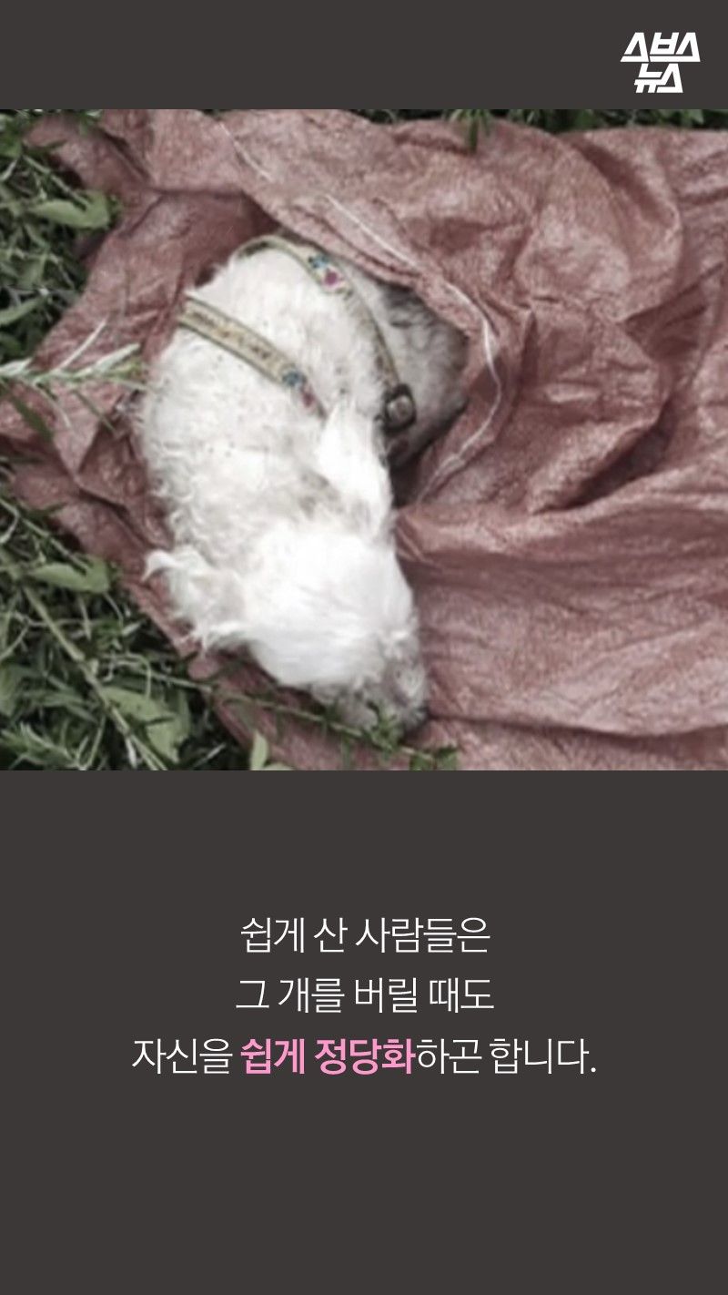 쉽게 산 사람들은
그 개를 버릴 때도
자신을 쉽게 정당화하곤 합니다.
