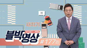 토요일용 [비디오머그 블박영상]운이 안 좋았다?...제177화 앞 트럭 피하니 뒤 트럭이 쿵!