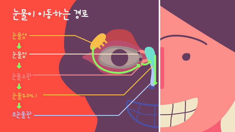 [라이프] 겨울철 칼바람에 눈물 줄줄…이게 병이었다고?