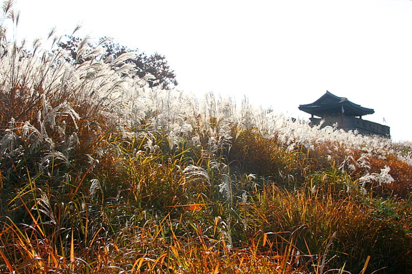 [라이프] 정조의 꿈, 조선의 꿈…수원화성 성곽길을 걷다 ②