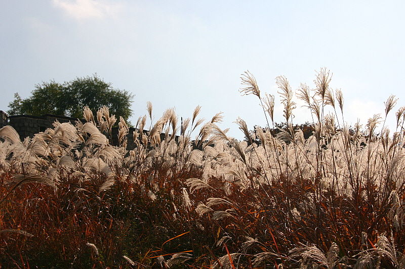 [라이프] 정조의 꿈, 조선의 꿈…수원화성 성곽길을 걷다 ②