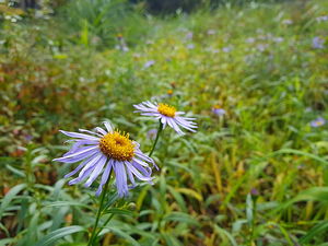 [라이프] 정조의 꿈, 조선의 좌절…수원화성 성곽길을 걷다 ③