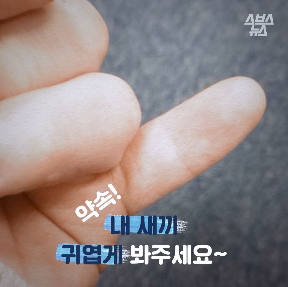 내 새끼 귀엽게 봐주세요~ 약속!