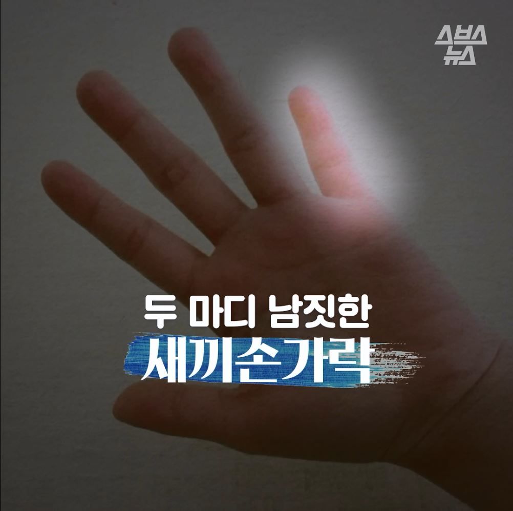 두 마디 남짓한 새끼손가락